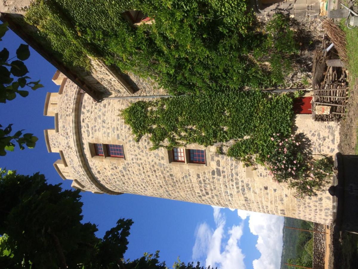 Chateau Royal De Saint-Saturnin 外观 照片